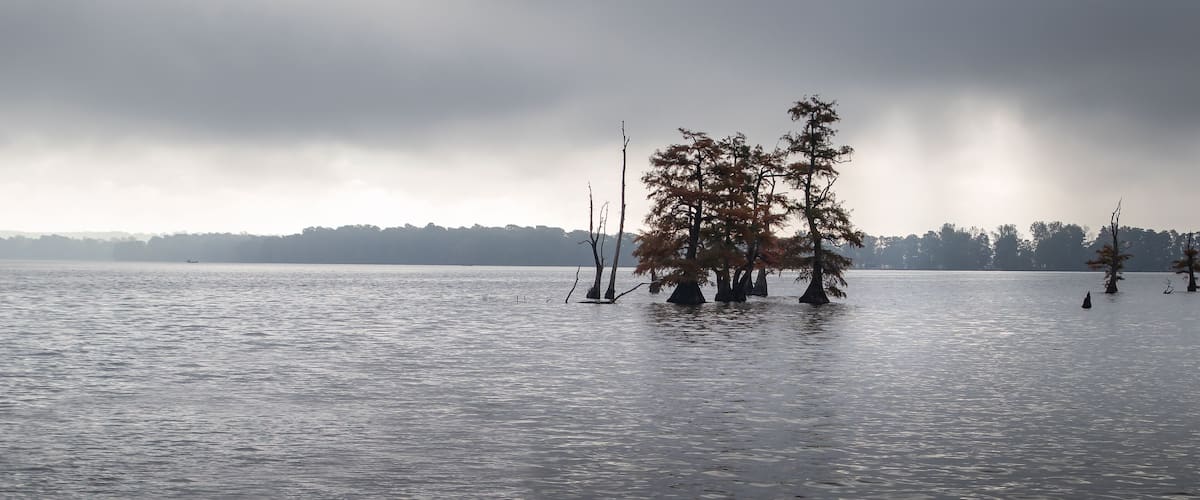 A calm lake with trees partially submerged in water, a distant shoreline, and a cloudy sky.