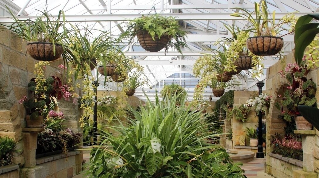 Best Botanical Gardens I've been too, so amazing and so many different varieties of plants and trees i've never seen before. Loved every second.