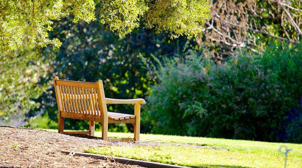 Queens Domain featuring a garden