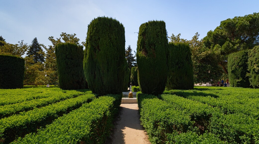 Sabatini Gardens featuring a park