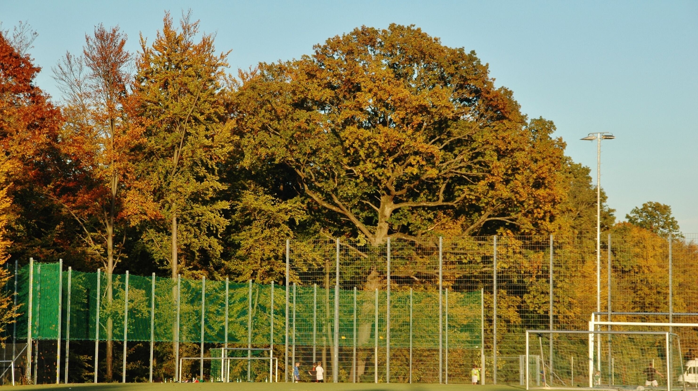 Der Sportplatz in Holzgerlingen