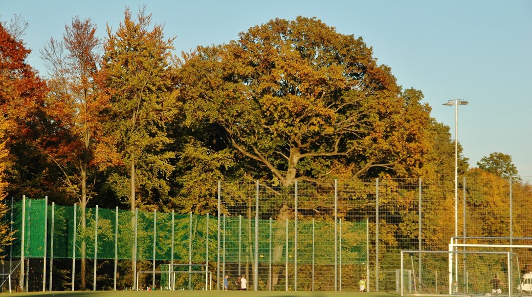 Der Sportplatz in Holzgerlingen