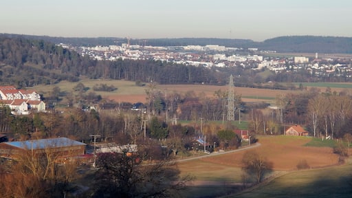 Holzgerlingen mit Blick Richtung Schรถnaich