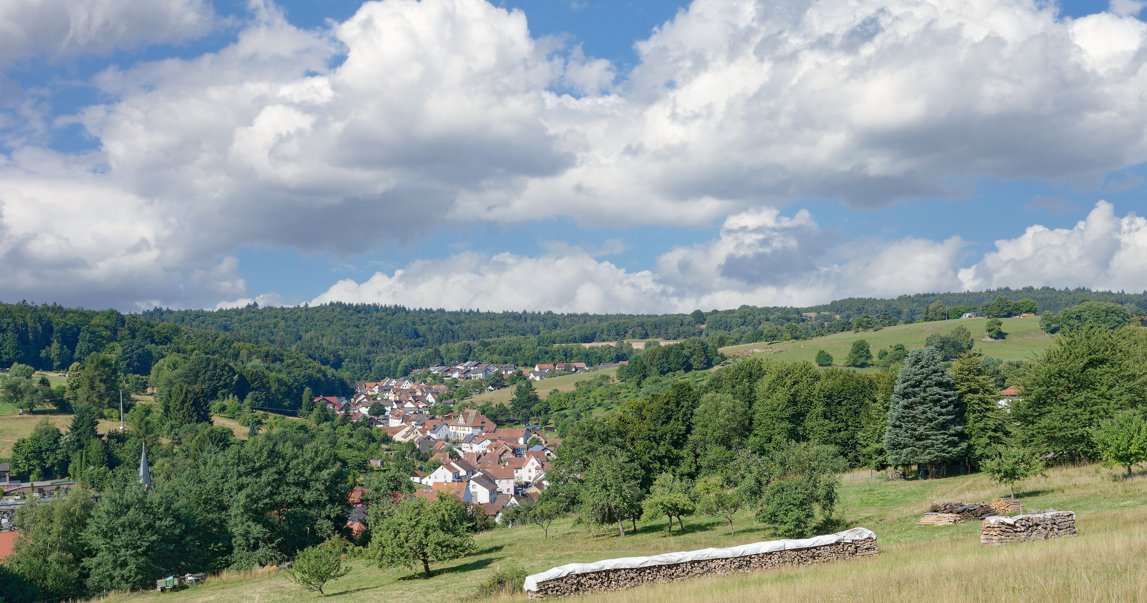 A village nestled in a valley with rolling hills and scattered trees.