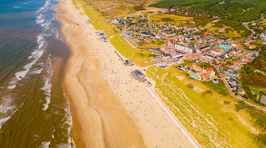 High angle Drone Point of View on Coastal Village of Bergen aan Zee, North-Holland, The Netherlands on summer day