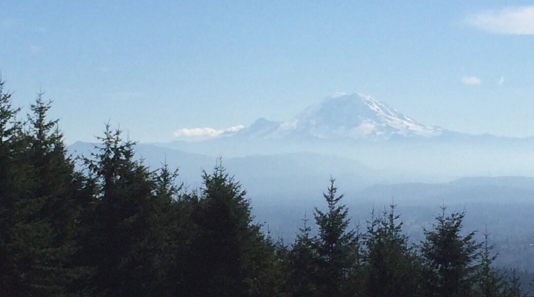 Gorgeous view of Mt Ranier, 3/4 of the way to the top of Tiger Mountain