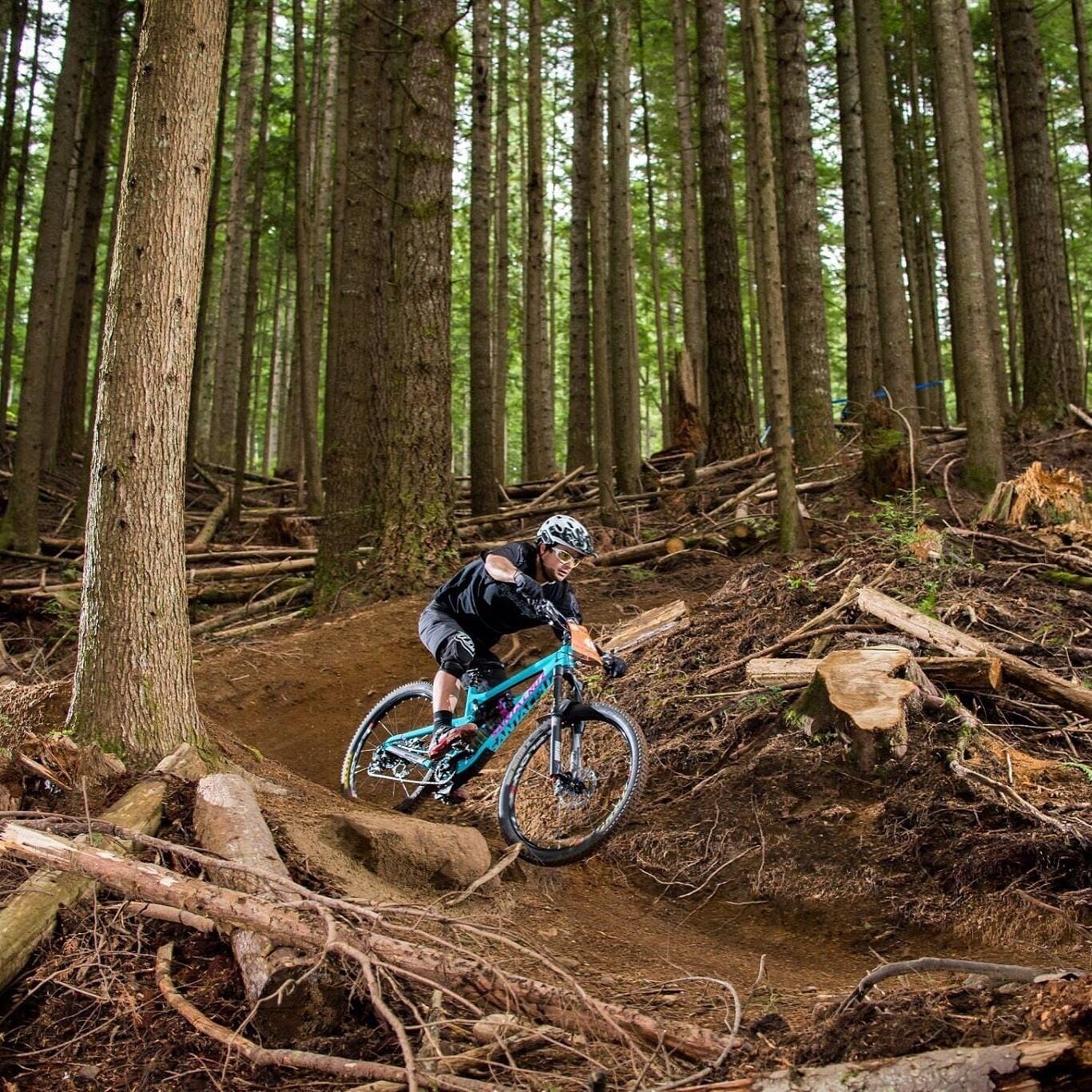 A short drive from Expedia HQ, Tiger Mountain is a world-class MTB destination. I miss "predator" the most....   #lifeatexpedia