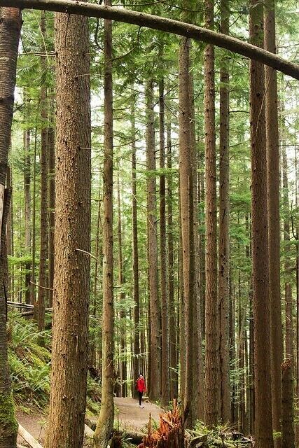 A great after-work hike. Hiking the West Trail up Tiger which is 6 miles rt. If you bust a move, you can do it in 2 hours. Also a popular trail run. 
