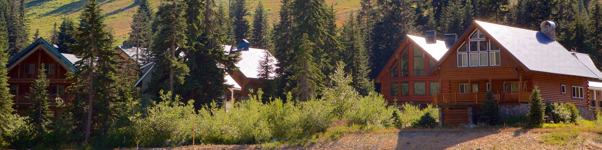 Summit at Snoqualmie Summit Central showing a small town or village