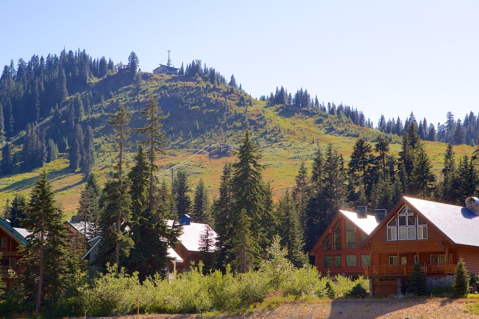 Uma cabana de tronco numa área montanhosa e arborizada sob um céu limpo.
