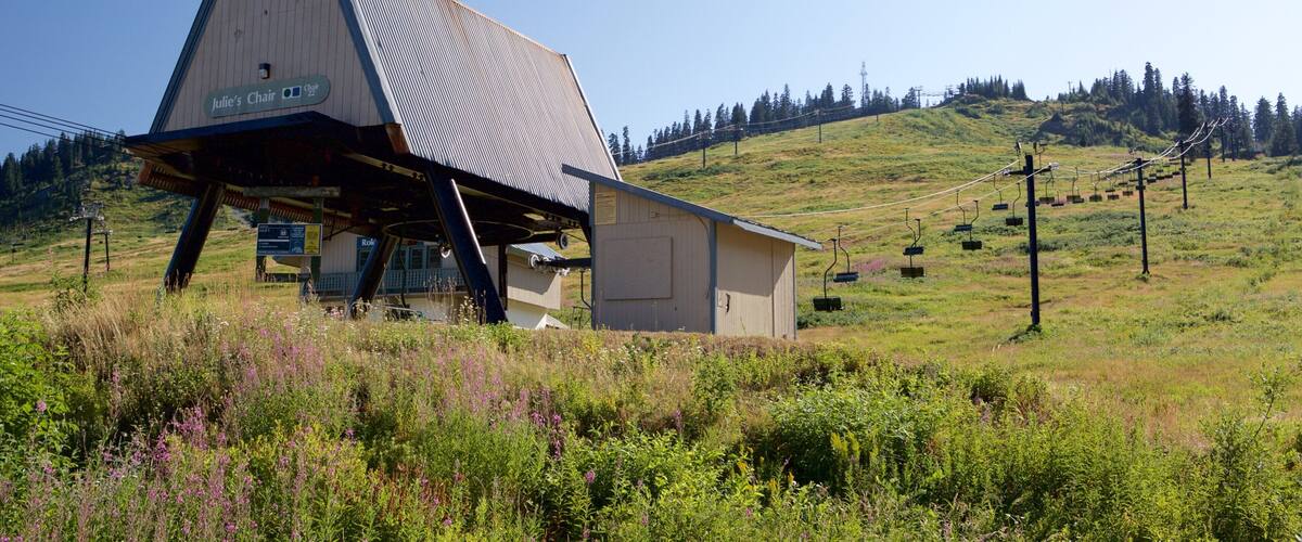 Summit at Snoqualmie Summit Central featuring a gondola
