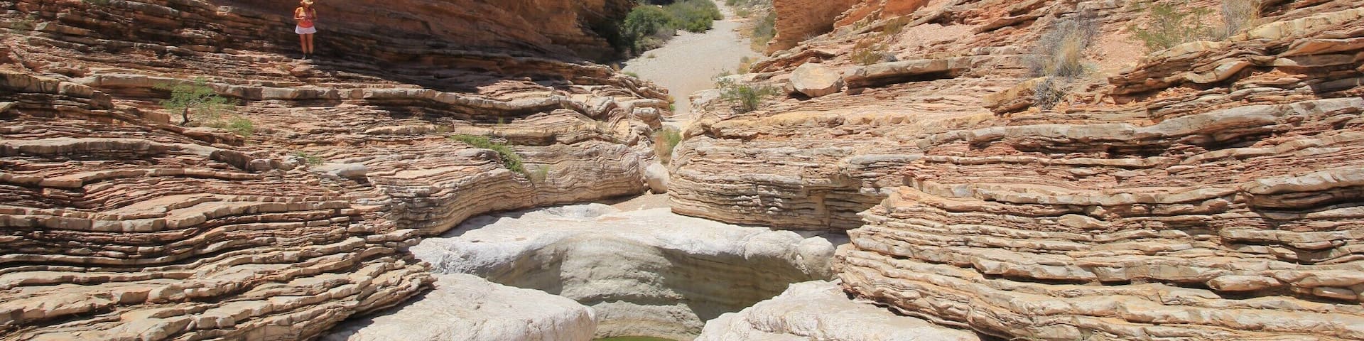 To get to this extremely remote low pool called the Ernst Tinaja, you have to drive a high-clearance or 4WD vehicle on Old Ore Road in Big Bend National Park and hike about a mile. It was sweltering in April but so worth it to see the pink and orange flaky layers of rock laid down by eons of a shallow inland sea. The pool is a scary toxic green, and with its steep sides is a death trap to creatures other than birds or insects.
Read more about our Big Bend adventures at https://rvluckyorwhat.com/2016/04/28/big-bend-the-most-amazing-national-park-youve-never-heard-of/
#desert #UStravel
#BigBend #NationalPark #Texas #tinaja #hiking #4WD #Jeep #offroading #4wheeling #remote