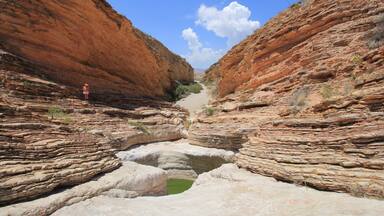 To get to this extremely remote low pool called the Ernst Tinaja, you have to drive a high-clearance or 4WD vehicle on Old Ore Road in Big Bend National Park and hike about a mile. It was sweltering in April but so worth it to see the pink and orange flaky layers of rock laid down by eons of a shallow inland sea. The pool is a scary toxic green, and with its steep sides is a death trap to creatures other than birds or insects.
Read more about our Big Bend adventures at https://rvluckyorwhat.com/2016/04/28/big-bend-the-most-amazing-national-park-youve-never-heard-of/
#desert #UStravel
#BigBend #NationalPark #Texas #tinaja #hiking #4WD #Jeep #offroading #4wheeling #remote
