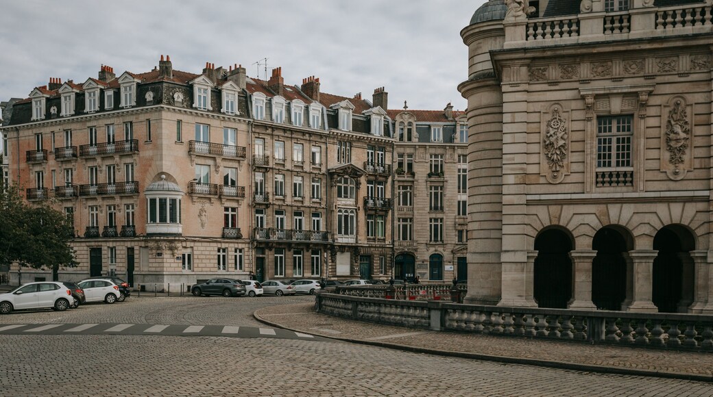 Porte de Paris featuring a city and heritage elements