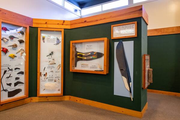 Elachee Nature Science Center