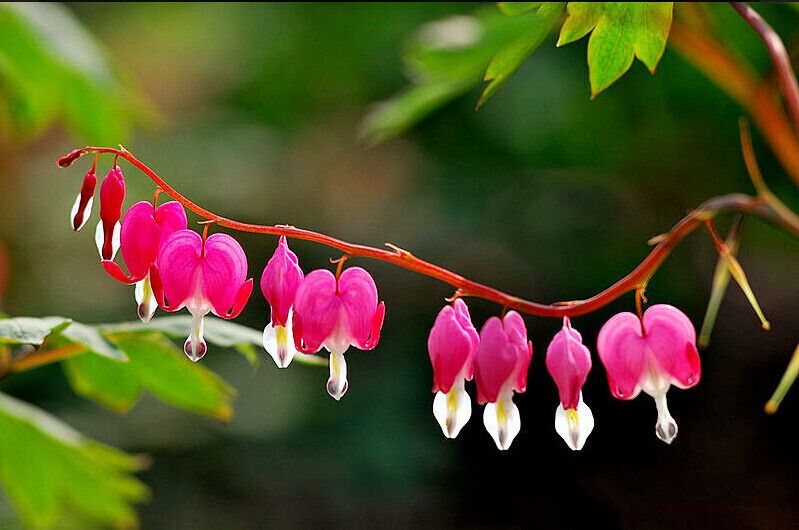 <h2>Best places to stay for families</h2>