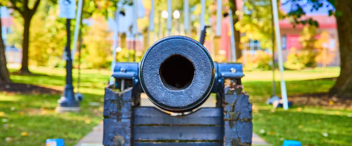 Historic Cannon in Lush Park Setting Eye Level Perspective