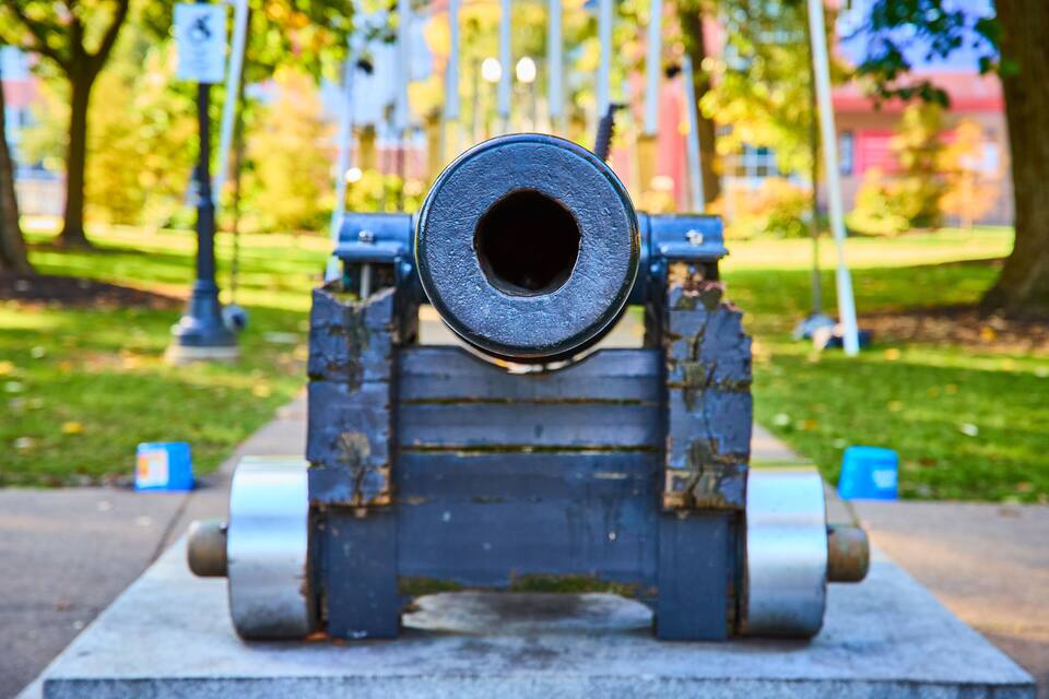 A cannon on display in a park.