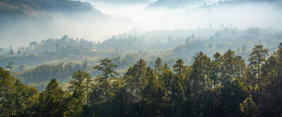 A mountainous landscape with dense forests and mist-covered peaks.