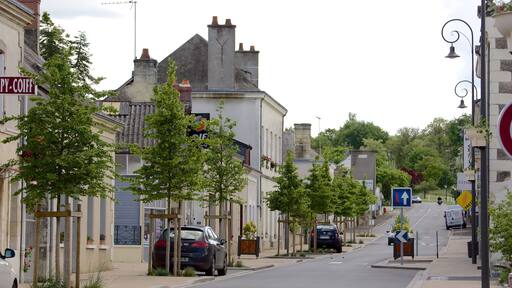 Lignieres which includes street scenes and a small town or village