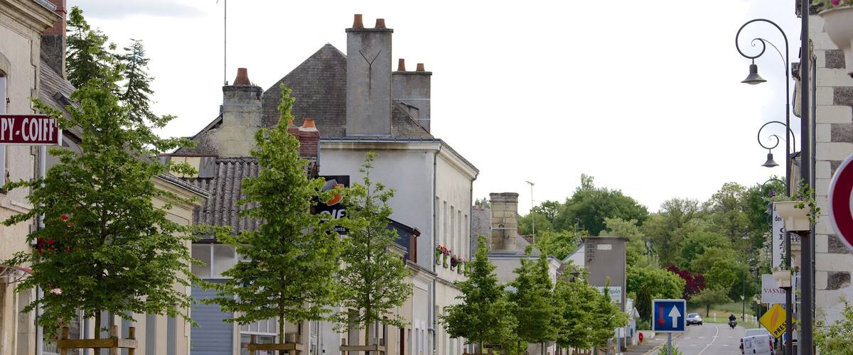 A street lined with trees and buildings, a car parked on the side, and a blue directional sign.