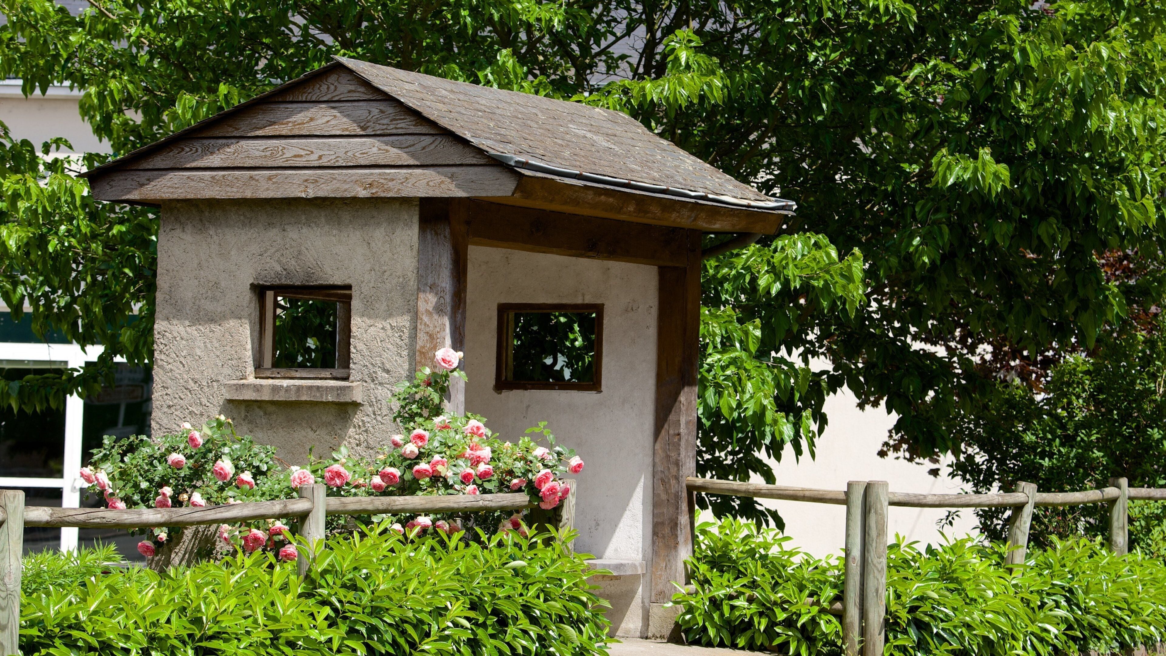 Lignieres which includes a park