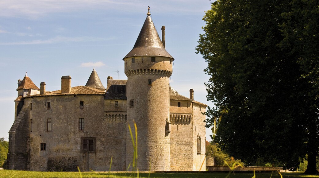 Château de La Brède, western aspect