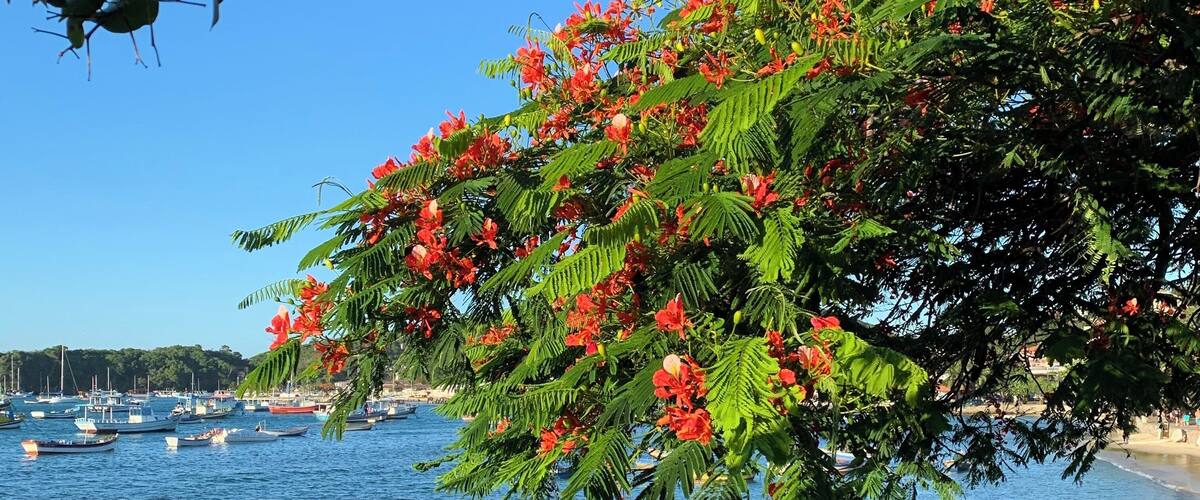 The best city in Rio de Janeiro: Búzios.
Orla Brigitte Bardot.
#buzios #riodejaneiro #brasil #brazil