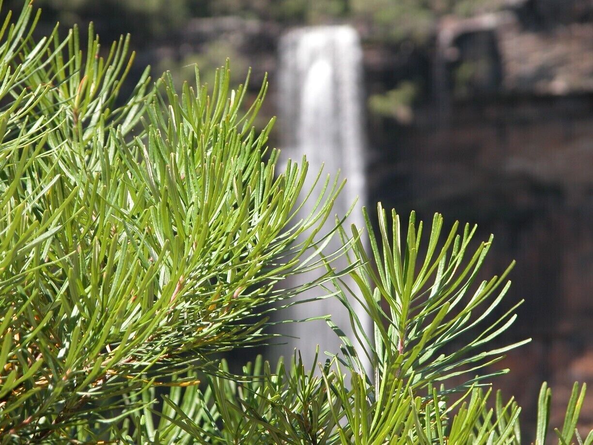 The water fall is not bad!