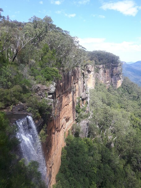 A waterfall cascading down a steep cliff surrounded by dense green forest.