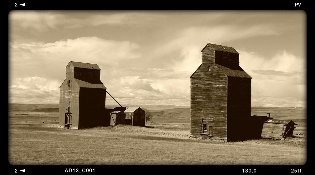 Old grain silos standing the tests of time for a railroad that no longer exists.