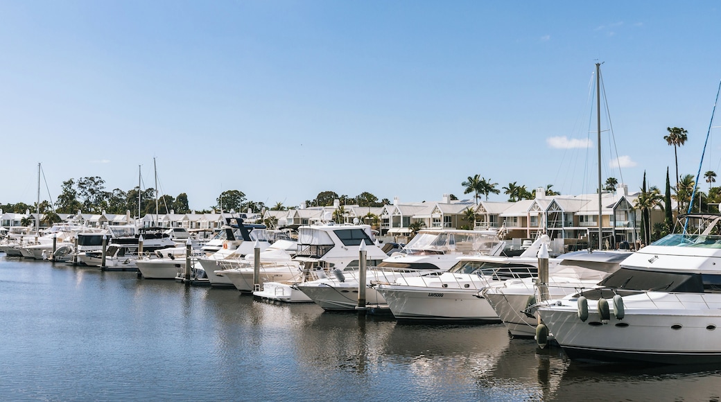 A marina with multiple yachts docked, surrounded by palm trees and houses.