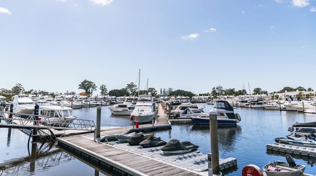 A marina with various boats docked, a wooden pier, and a clear blue sky.