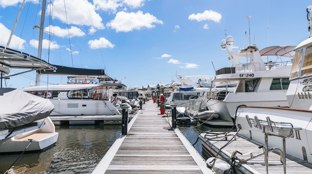 A marina with multiple yachts docked along a wooden pier under a clear blue sky.