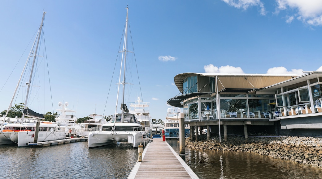 A marina with several sailboats docked, a wooden pier, and a modern building with outdoor seating.