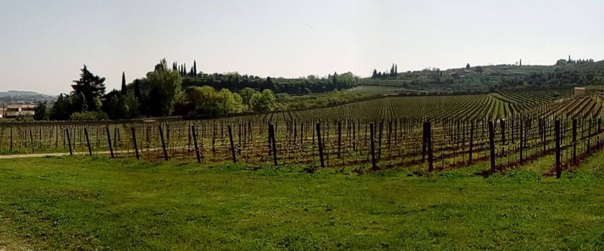 Panorama delle campagne di Fumane (provincia di Verona) nei pressi di Villa Della Torre