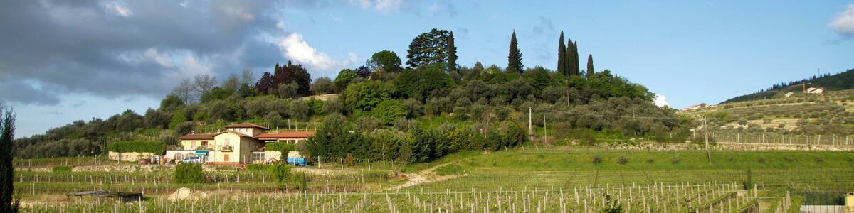 37022 Fumane VR, Italy