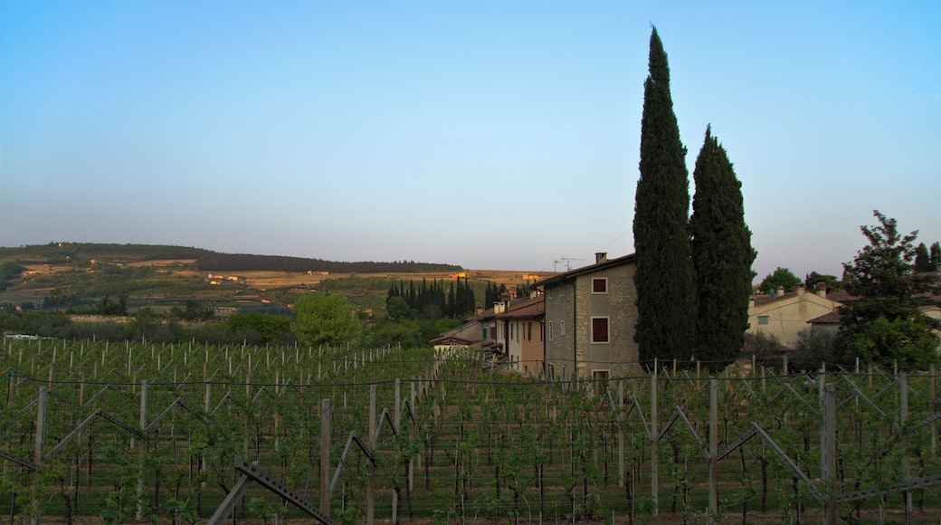 37022 Fumane VR, Italy