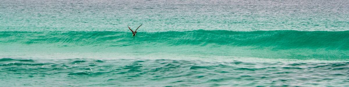 Foguete Beach which includes general coastal views and surf