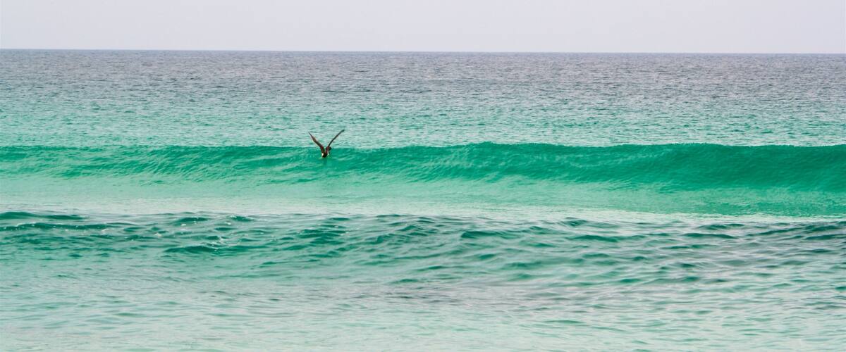 Foguete Beach which includes general coastal views and waves