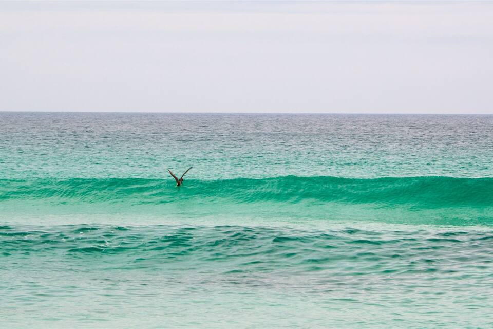 A surfer riding a wave in the ocean.