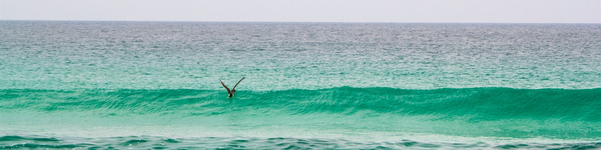 Foguete Beach which includes general coastal views and surf