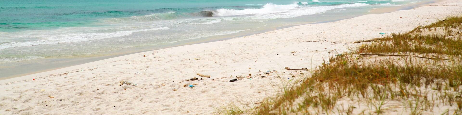 A beach with clear turquoise water, white sand, and a distant hill with a tower.