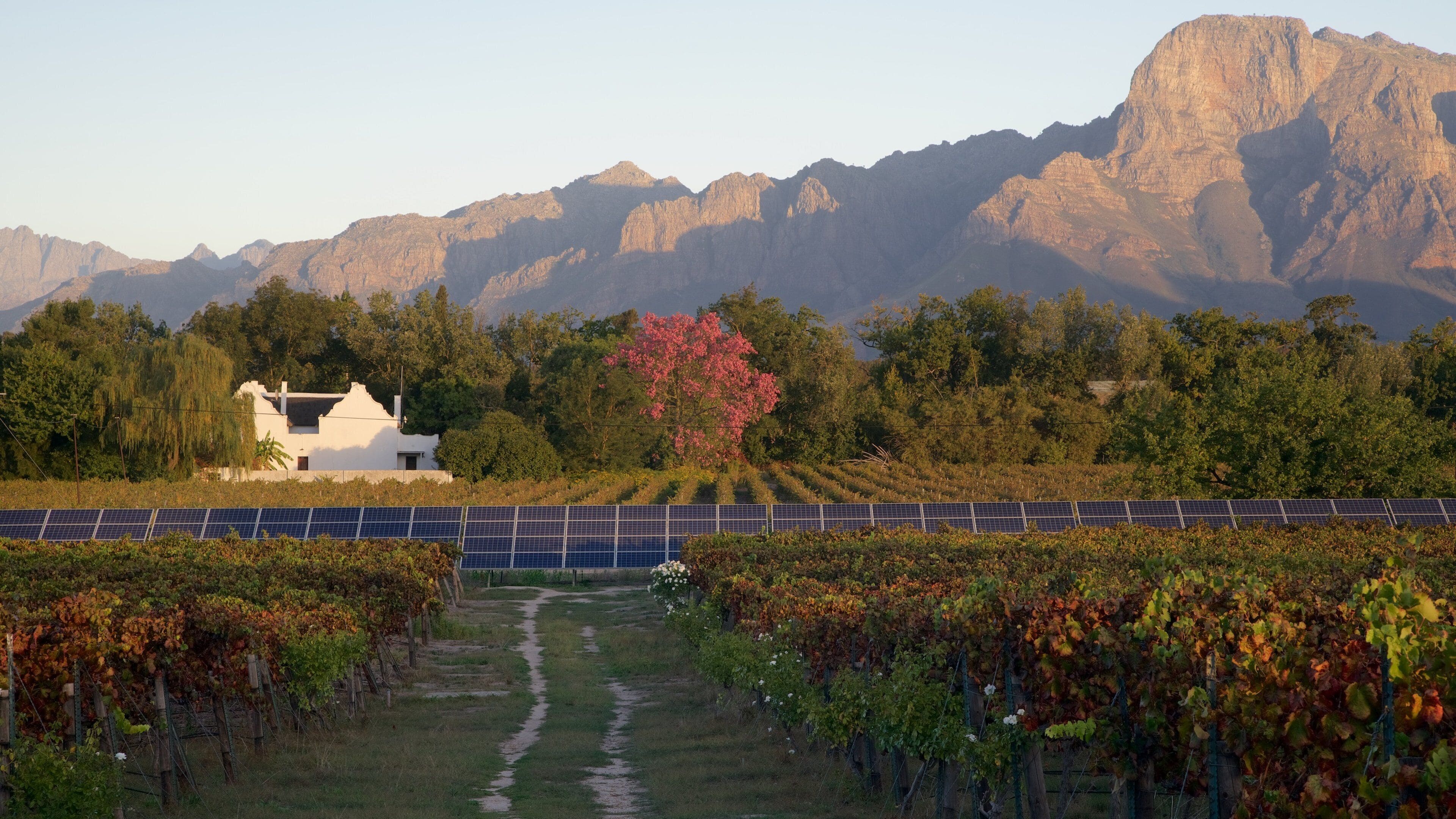 Vrede en Lust Winery