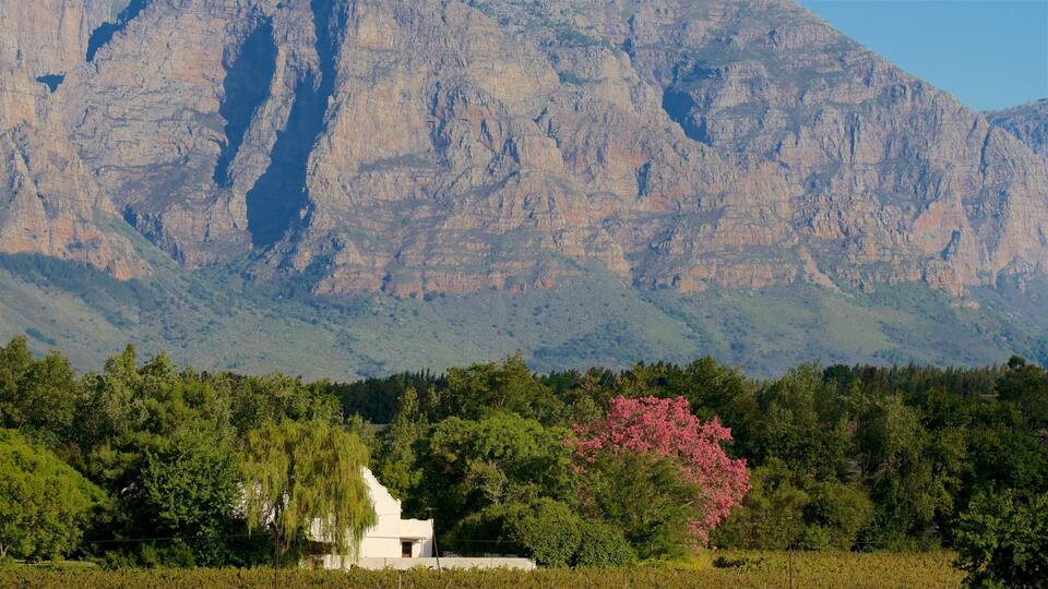 A white building surrounded by lush greenery and a mountain in the background.