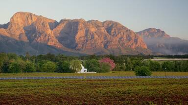 A landscape with a white building, green trees, and a field of solar panels.