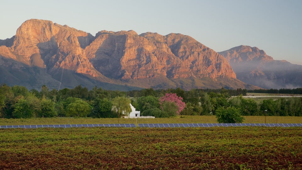 A landscape with a white building, green trees, and a field of solar panels.