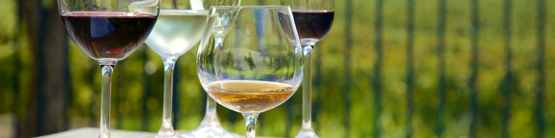 Four wine glasses on a wooden table with a scenic view of a green landscape and a fence in the background.