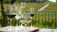 Four wine glasses on a wooden table with a scenic view of a green landscape and a fence in the background.