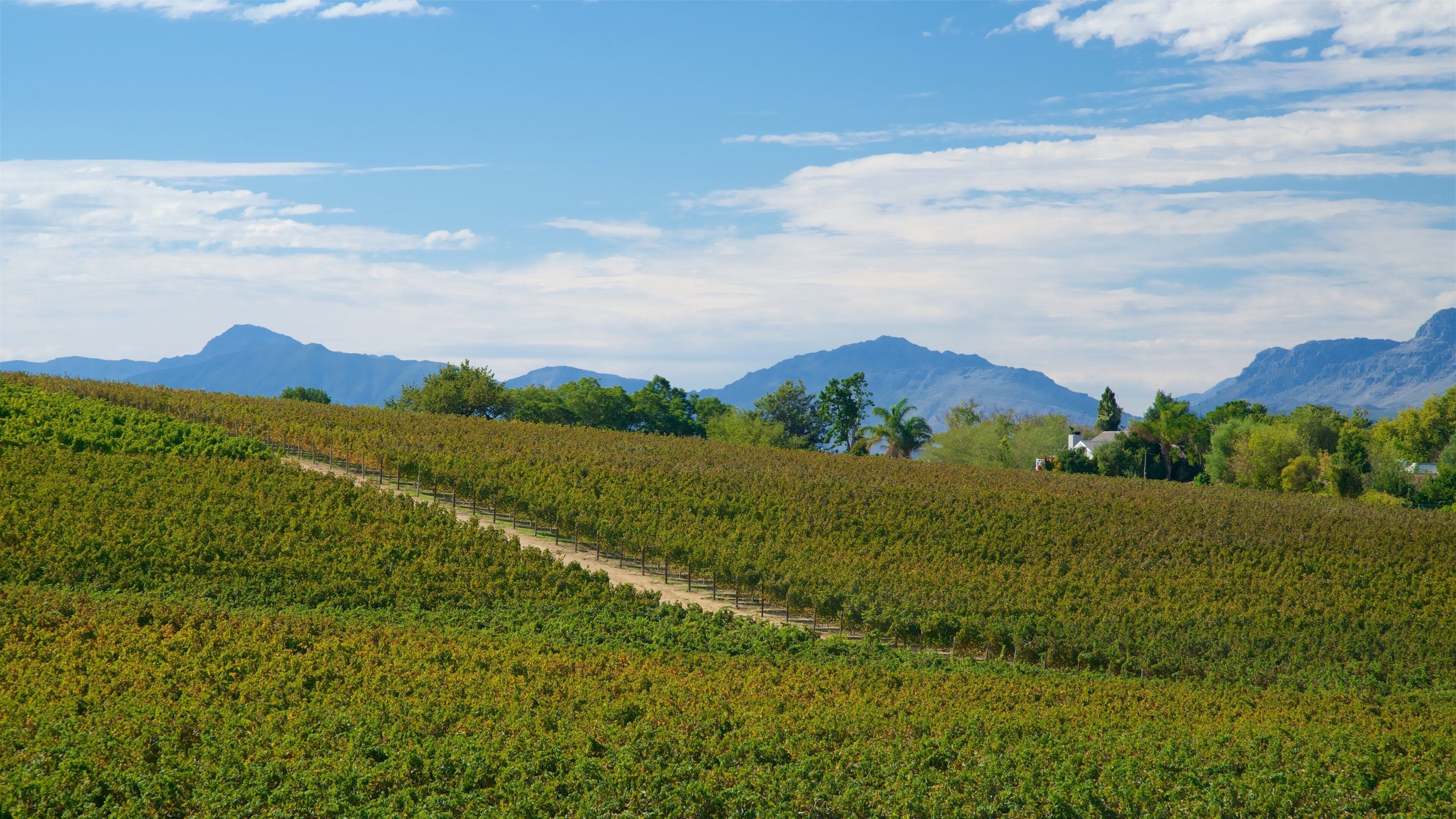 Xưởng rượu vang Laborie